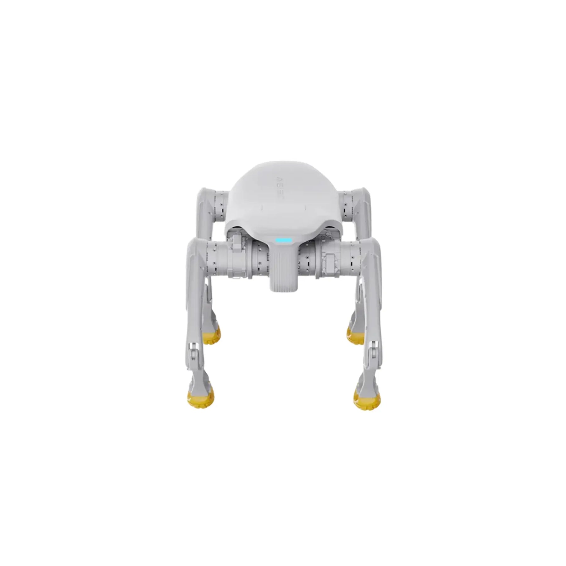AGIBOT D1 PRO