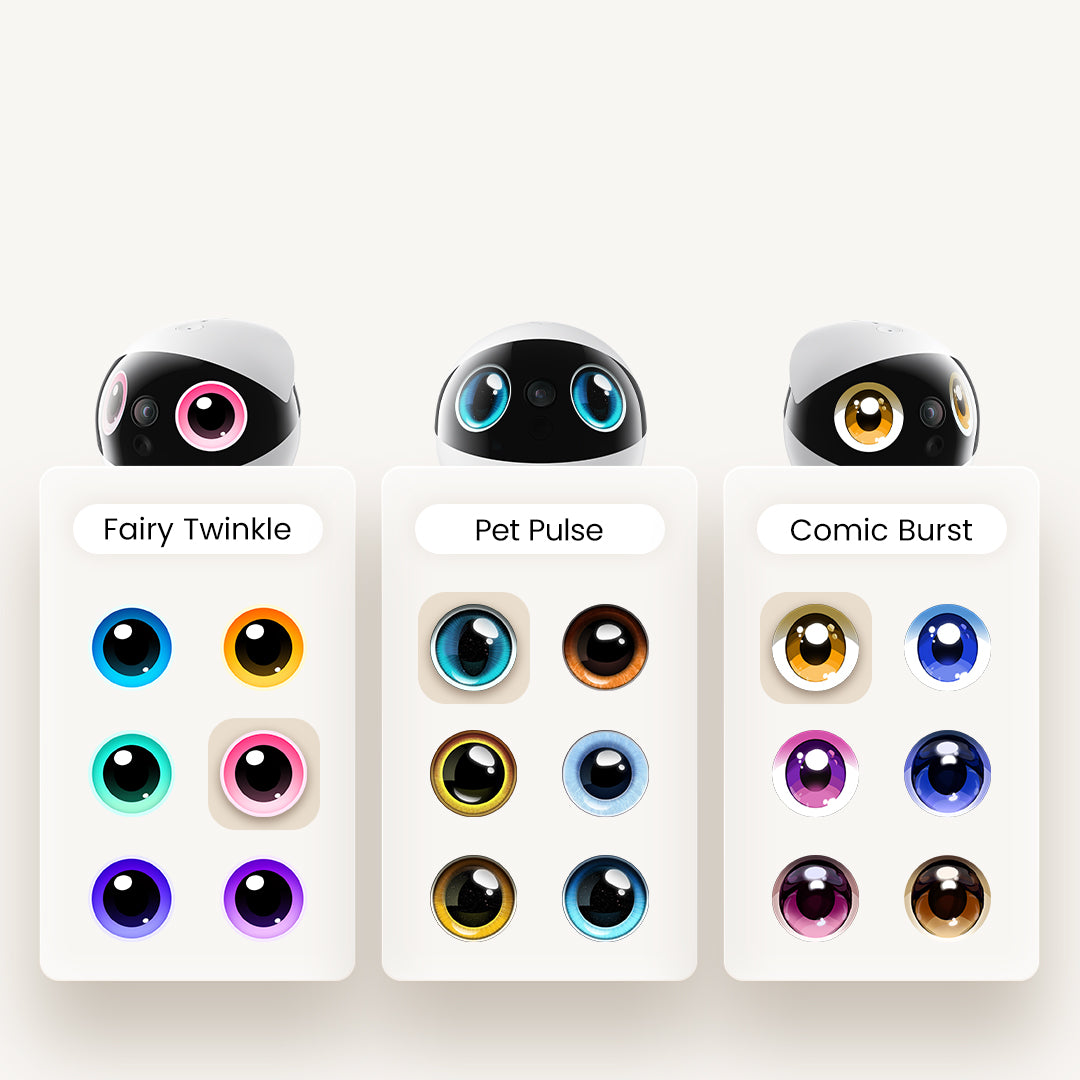 EBO Air 2S FamilyBot