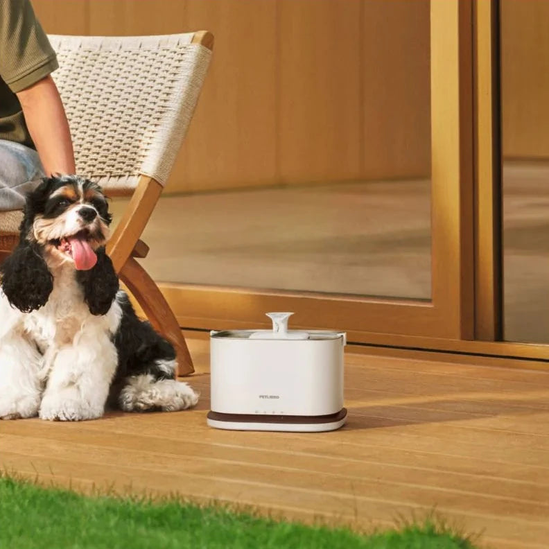 Petlibro Dockstream 2 Smart Cordless fountain 3L