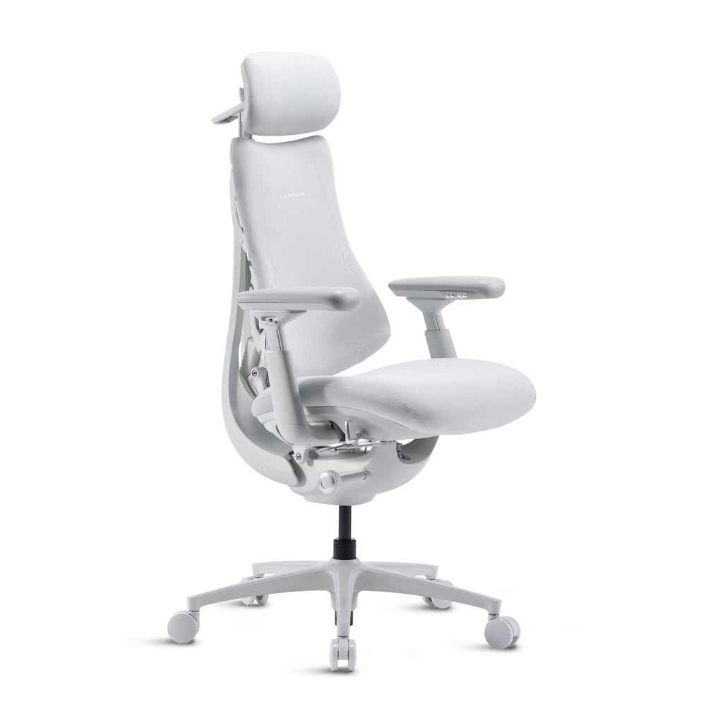 LiberNovo Omni Pro Dynamic Ergonomic Chair