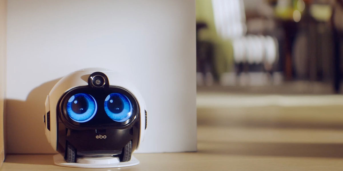 Companion & Quadruped Robots